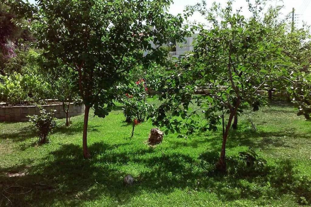 אתונה Sunny Garden Studio מראה חיצוני תמונה